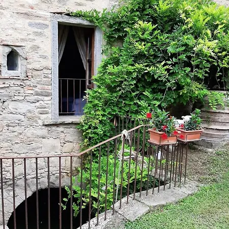 Frantoio Valiani Farm stay