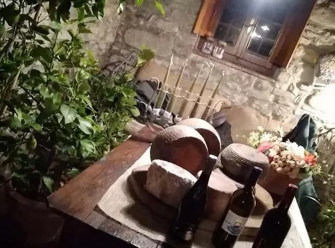 Frantoio Valiani Cortone
