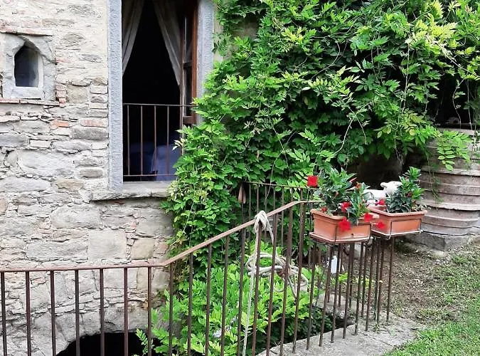 Frantoio Valiani Séjour à la ferme