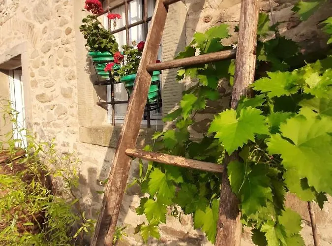 Séjour à la ferme Frantoio Valiani Cortone