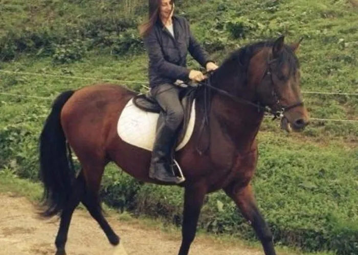 Frantoio Valiani Séjour à la ferme